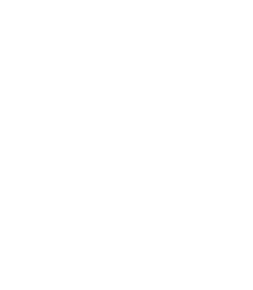 Centoundici Circus Logo